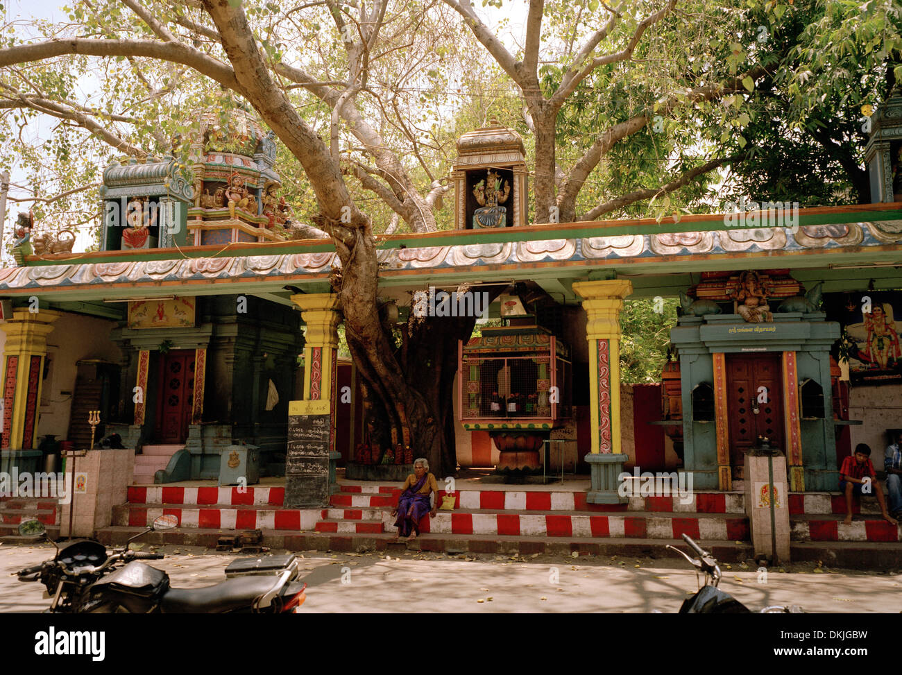 Fotografia di viaggio - albero Hindu Temple in Chennai Madras in Tamil Nadu in India Asia del Sud. La religione edificio religioso architettura di stile di vita Kitsch Foto Stock