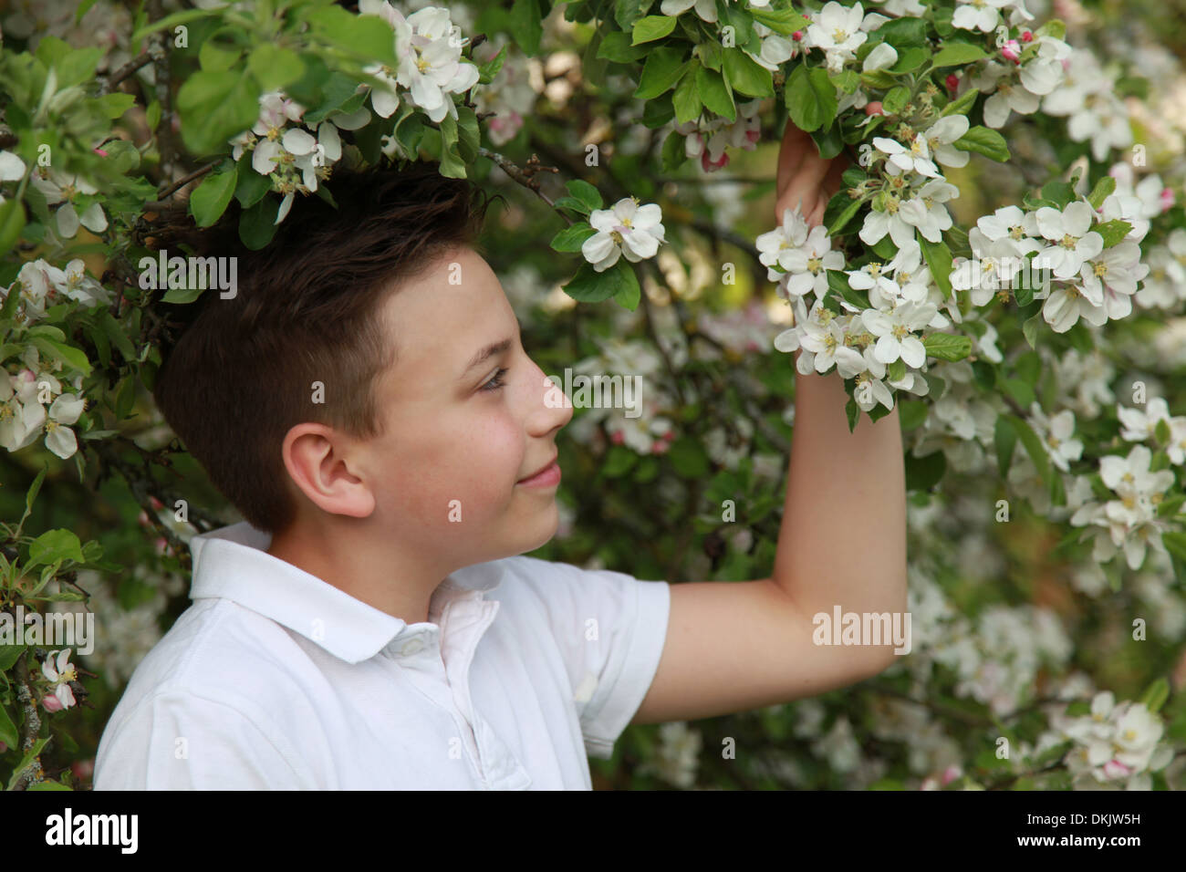 Ragazzo giovane sotto una fioritura di melo in primavera Foto Stock