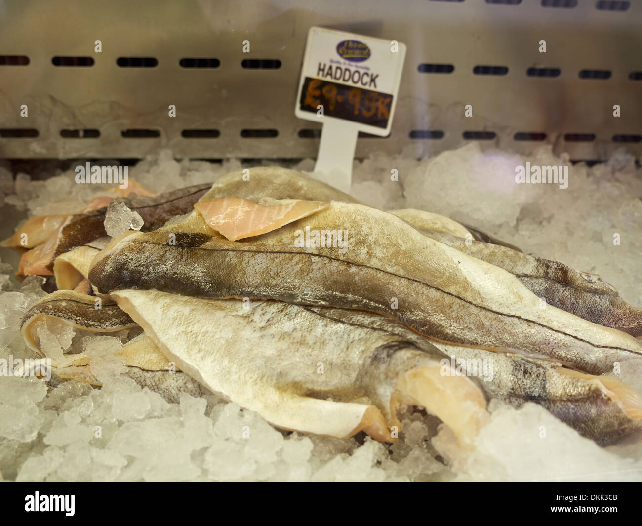 Eglefino filetti su ghiaccio visualizzato in un pescivendolo Foto Stock