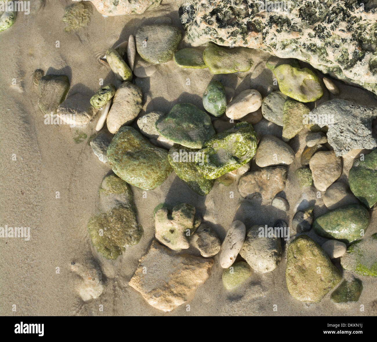 Verdi rocce di ghiaia su una spiaggia, eventualmente epidoto, un comune metamorfico minerali o un prodotto di alterazione idrotermale di vari Foto Stock