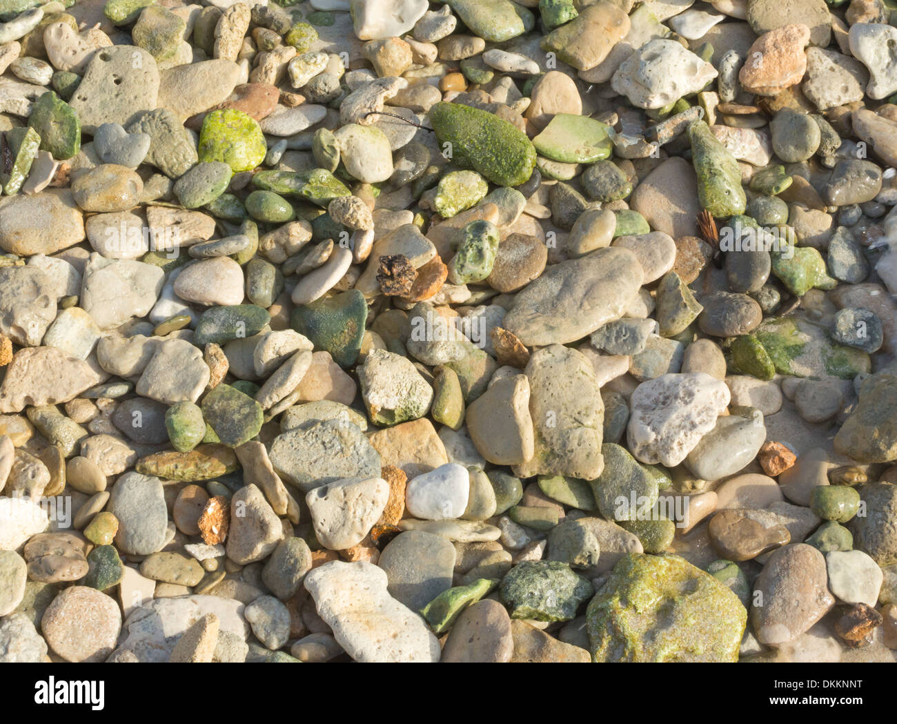 Verdi rocce di ghiaia su una spiaggia, eventualmente epidoto, un comune metamorfico minerali o un prodotto di alterazione idrotermale di vari Foto Stock