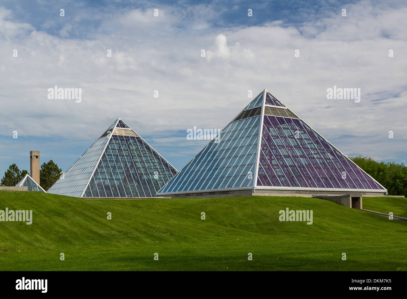 Il Conservatorio Muttart Piramidi e lo skyline della città di Edmonton, Alberta, Canada. Foto Stock