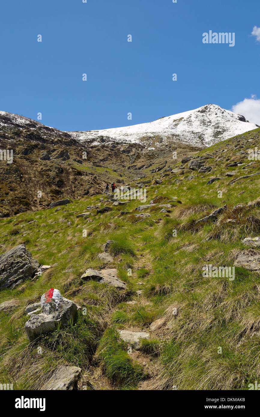Grassy sentiero di montagna che conduce fino alla sommità delle cime M. Arzola (2158 m) in primavera. Tipico segnavia rosso e bianco Foto Stock