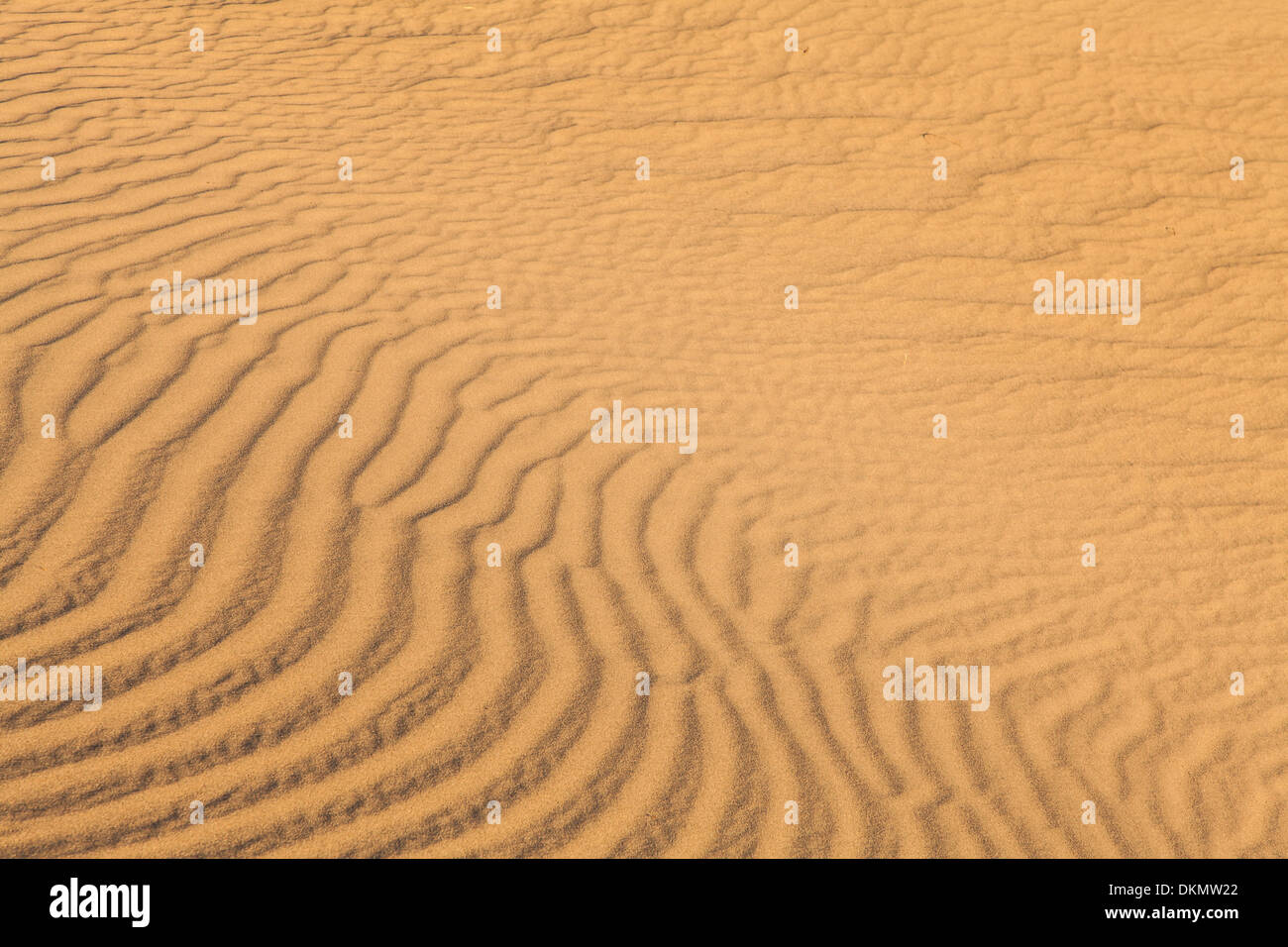 Le dune di sabbia di Mesquite piatto nella Valle della Morte nel deserto - California Foto Stock
