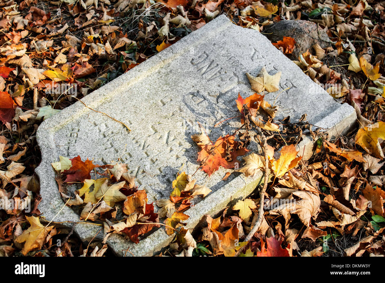 Danneggiato tomba in dimenticato e unkempt cimitero ebraico con gli sconosciuti Foto Stock