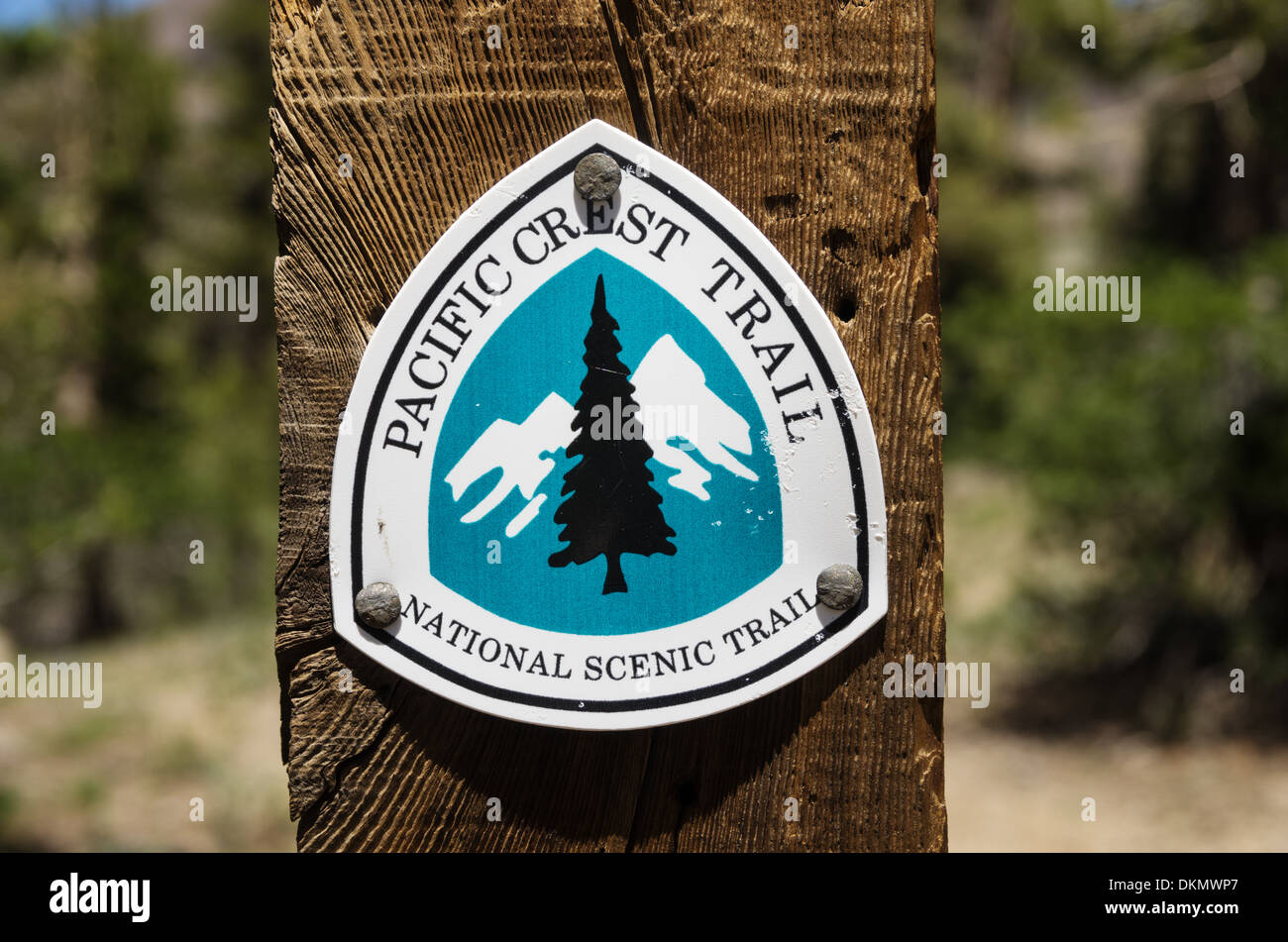 Pacific Crest Trail segno vicino Sonora Pass Foto Stock