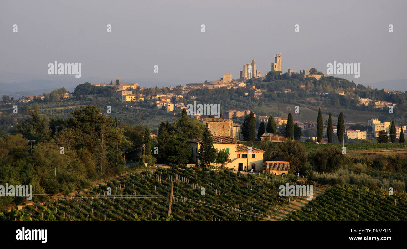 Colline Toscane vicino a San Gimignano in Toscana, Italia Foto Stock