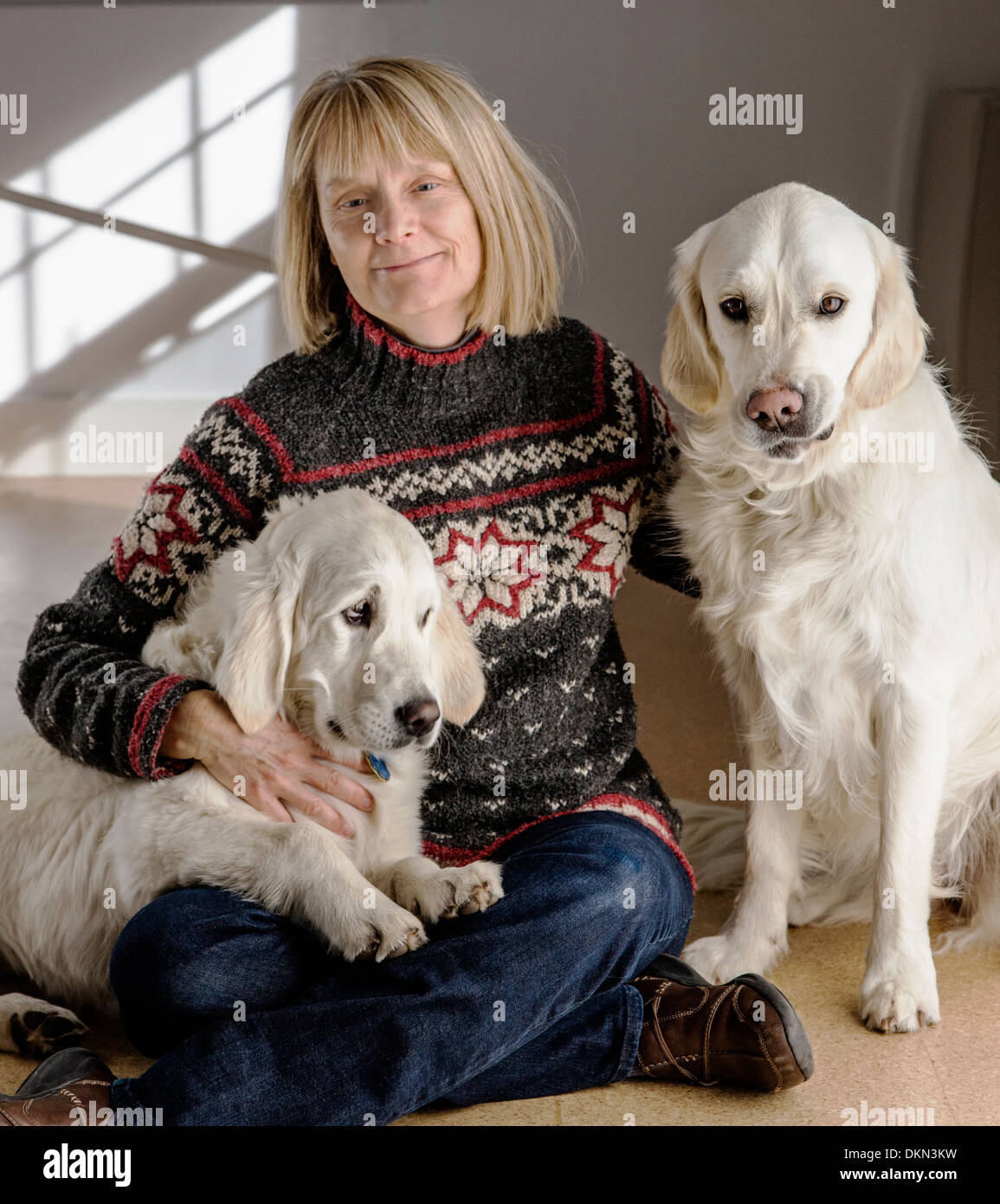 Ritratto di donna con i suoi sei mese & diciannove mesi color platino Golden Retriever cani Foto Stock