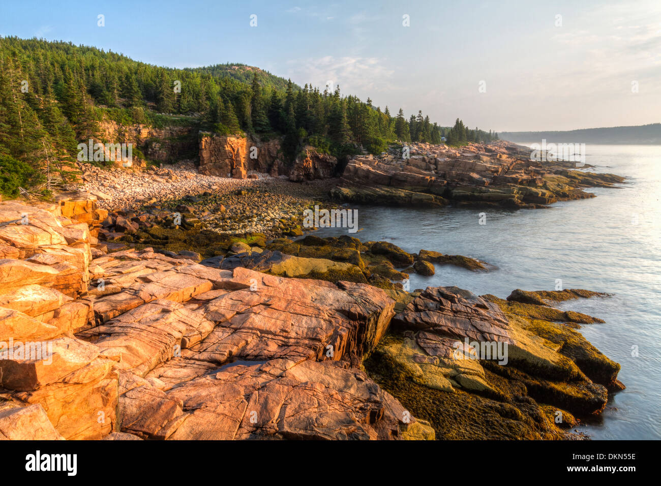 L'iconico sharp costa rocciosa del Maine al monumento Cove nel Parco Nazionale di Acadia, Maine Foto Stock