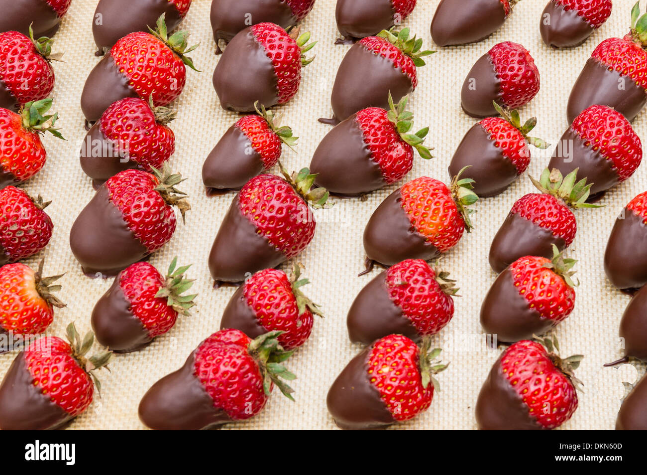 Un vassoio di fragole ricoperte di cioccolata pronto a servire Foto Stock