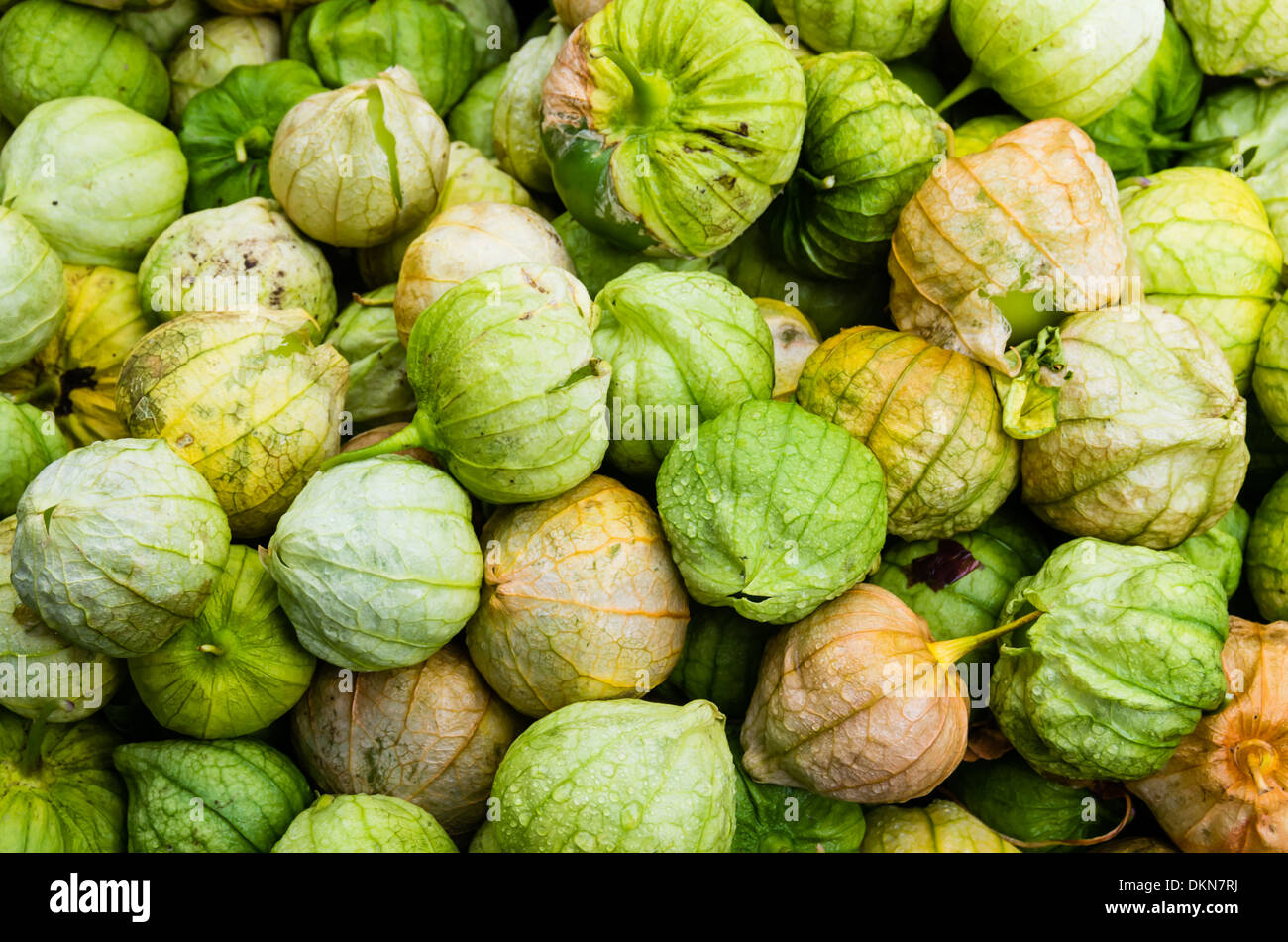 Tomatillos verde con bucce sul display in un mercato degli agricoltori Foto Stock