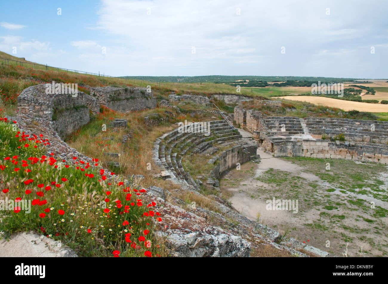 Resti dell'anfiteatro romano. Segobriga parco archeologico provincia Cuenca, Castilla La Mancha, in Spagna. Foto Stock