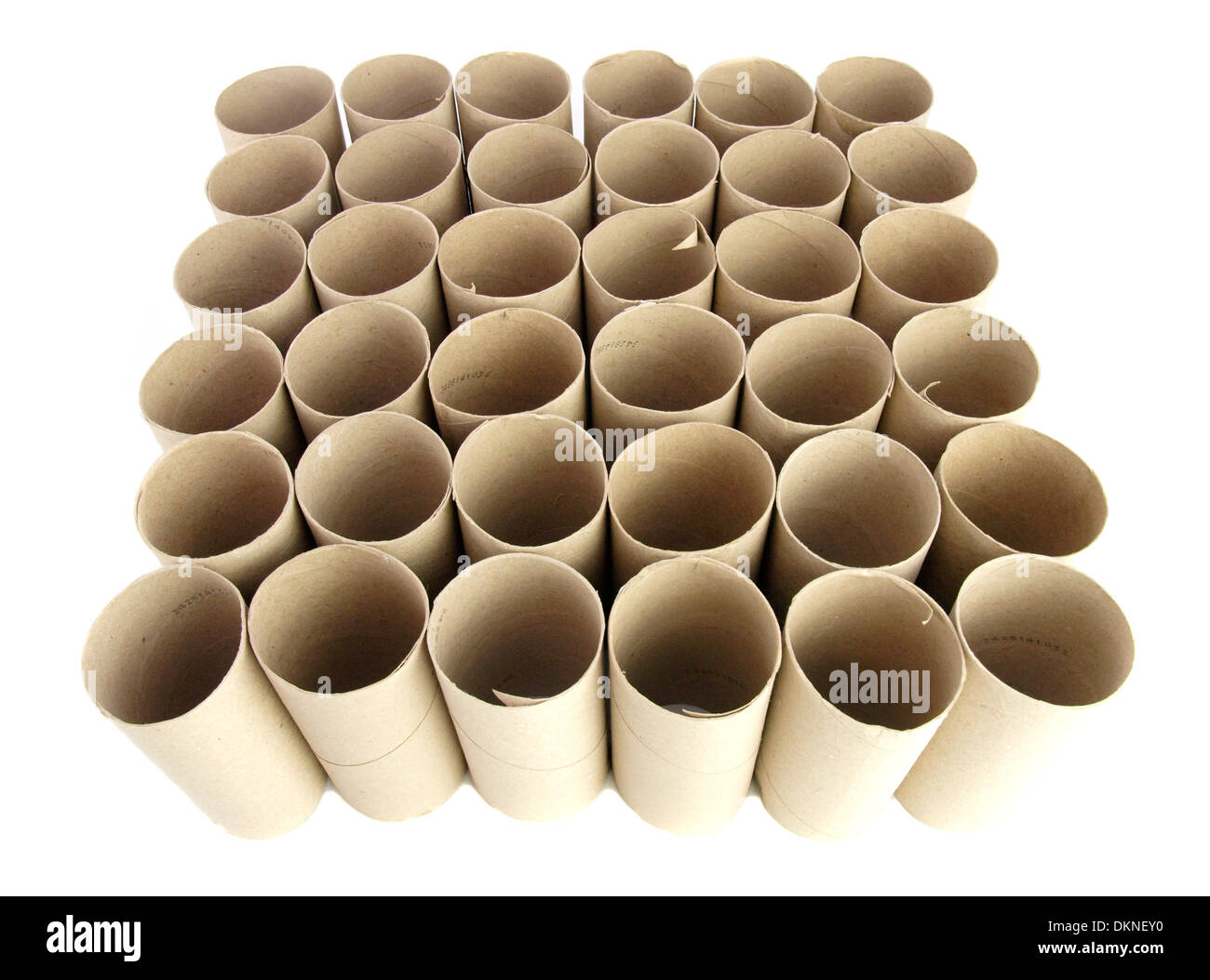 Rotolo di carta igienica di tubi Foto Stock