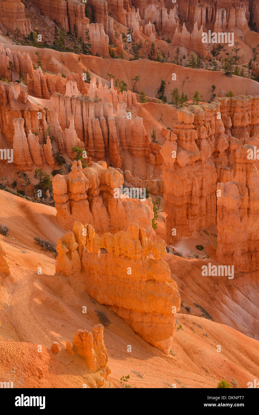 Bryce Canyon all'alba dal punto di tramonto, Parco Nazionale di Bryce Canyon, Utah, Stati Uniti d'America Foto Stock