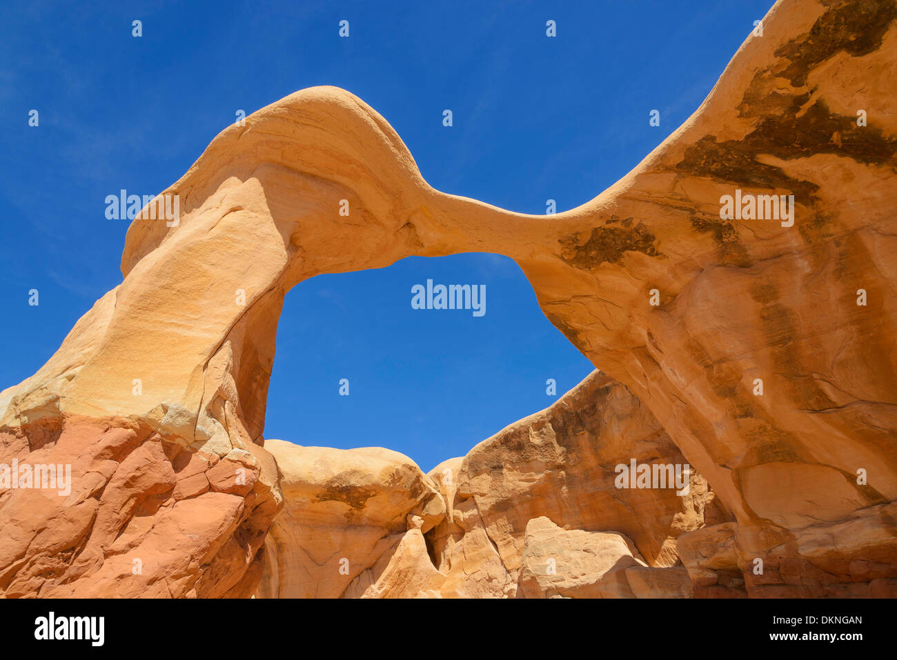 Metate Arch, Devils Garden, la grande scala Escalante National Monument, Utah, Stati Uniti d'America Foto Stock