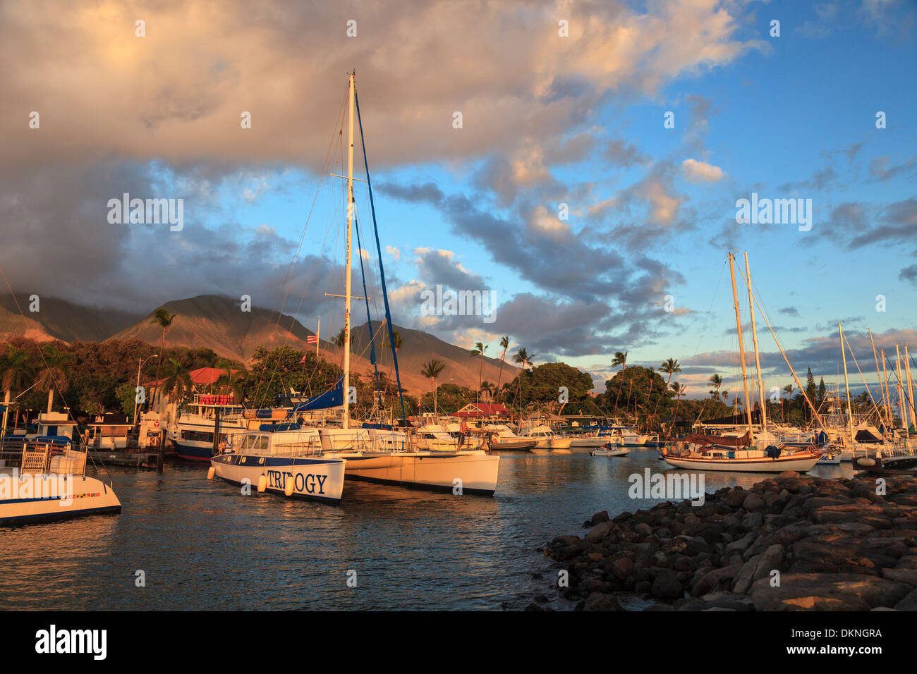 Stati Uniti d'America, Hawaii Maui Lahaina, Lahaina porto storico Foto Stock