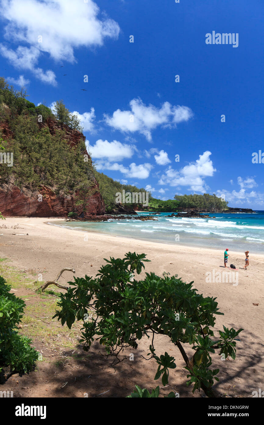 Stati Uniti d'America, Hawaii Maui, Strada di Hana, il paesaggio costiero vicino a Penisola Keanae Foto Stock