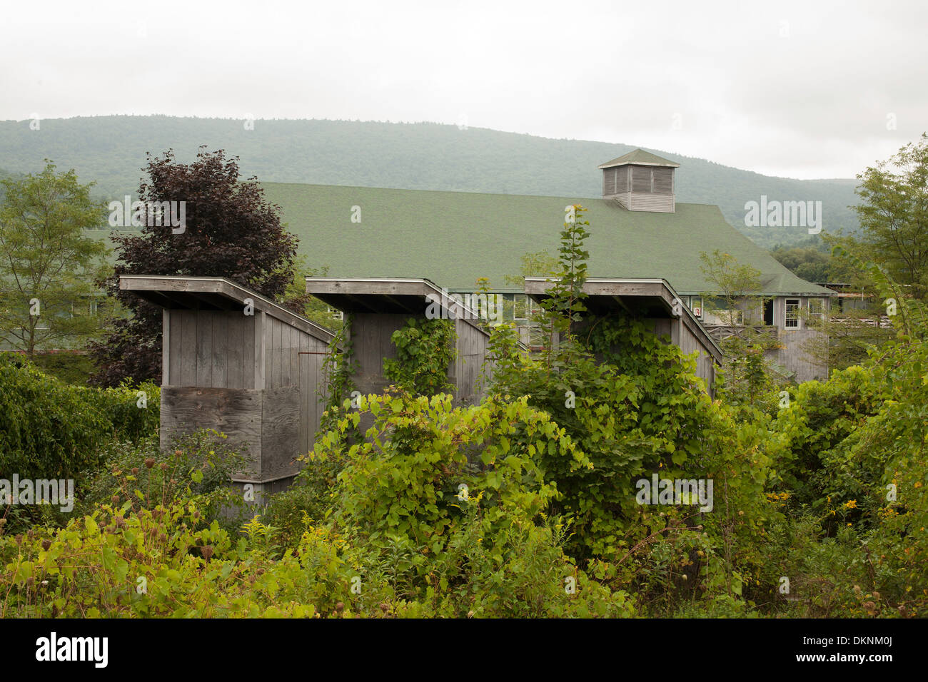Abbandonato ed incolto biglietto di ingresso di stand da vecchia fiera in Great Barrington, Massachusetts. Racetrack tribune parte posteriore Foto Stock