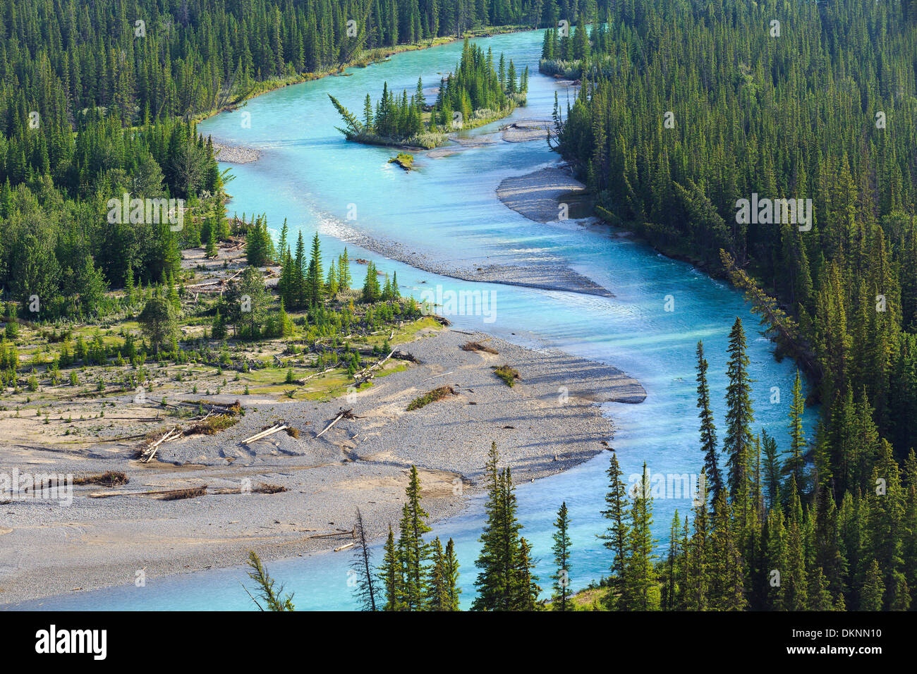 Il Fiume Bow, il Parco Nazionale di Banff, Alberta, Canada Foto Stock