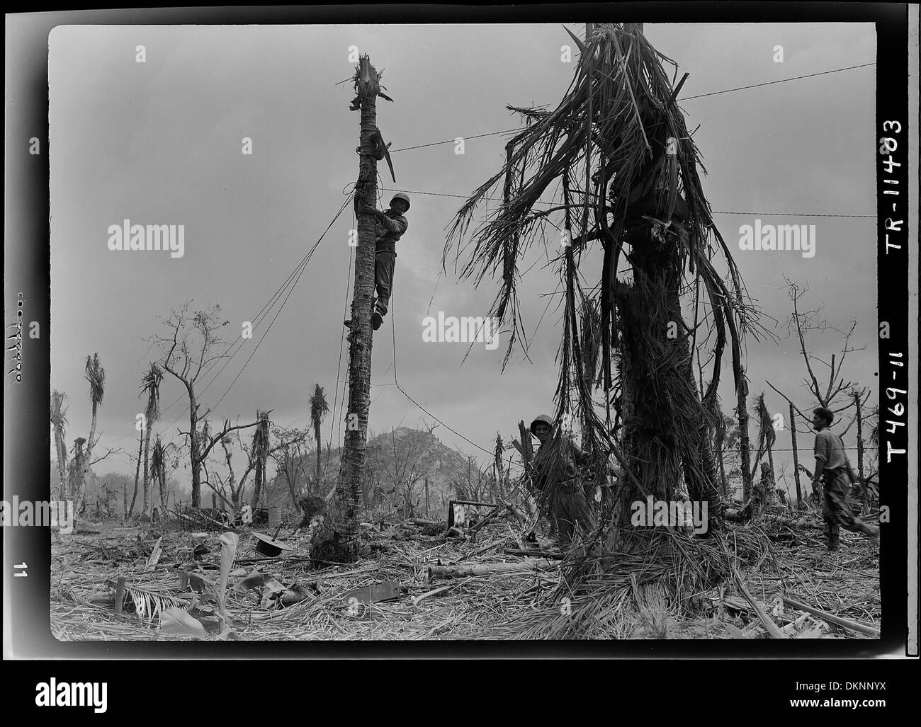 I Marines degli Stati Uniti installano linee telefoniche sotto fuoco sull'isola di Peleliu durante la seconda guerra mondiale. La foto cattura le dure condizioni di combattimento e l'importanza strategica delle linee di comunicazione, con Bloody Nose Ridge visibile sullo sfondo. Foto Stock