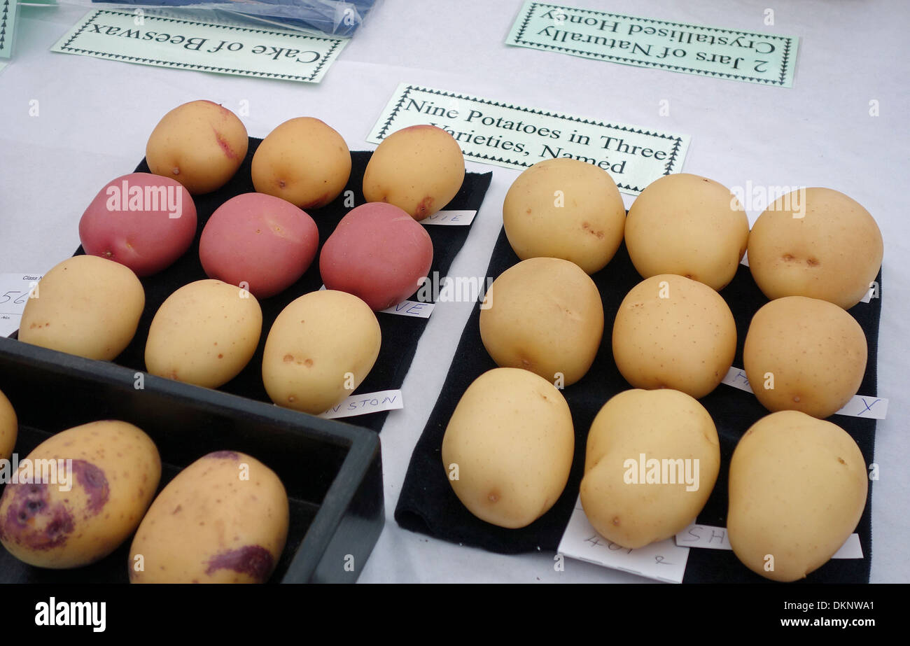 Patate ad un vegetale visualizza Foto Stock