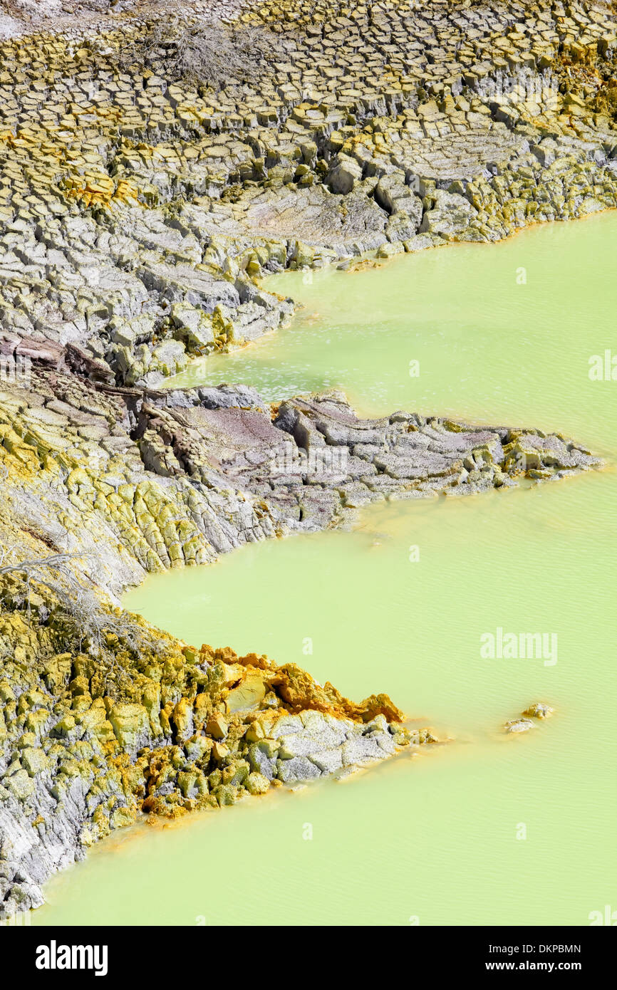 Devill's Cave in Wai-O-Tapu Wonderland geotermica, a Rotorua, Nuova Zelanda. Foto Stock