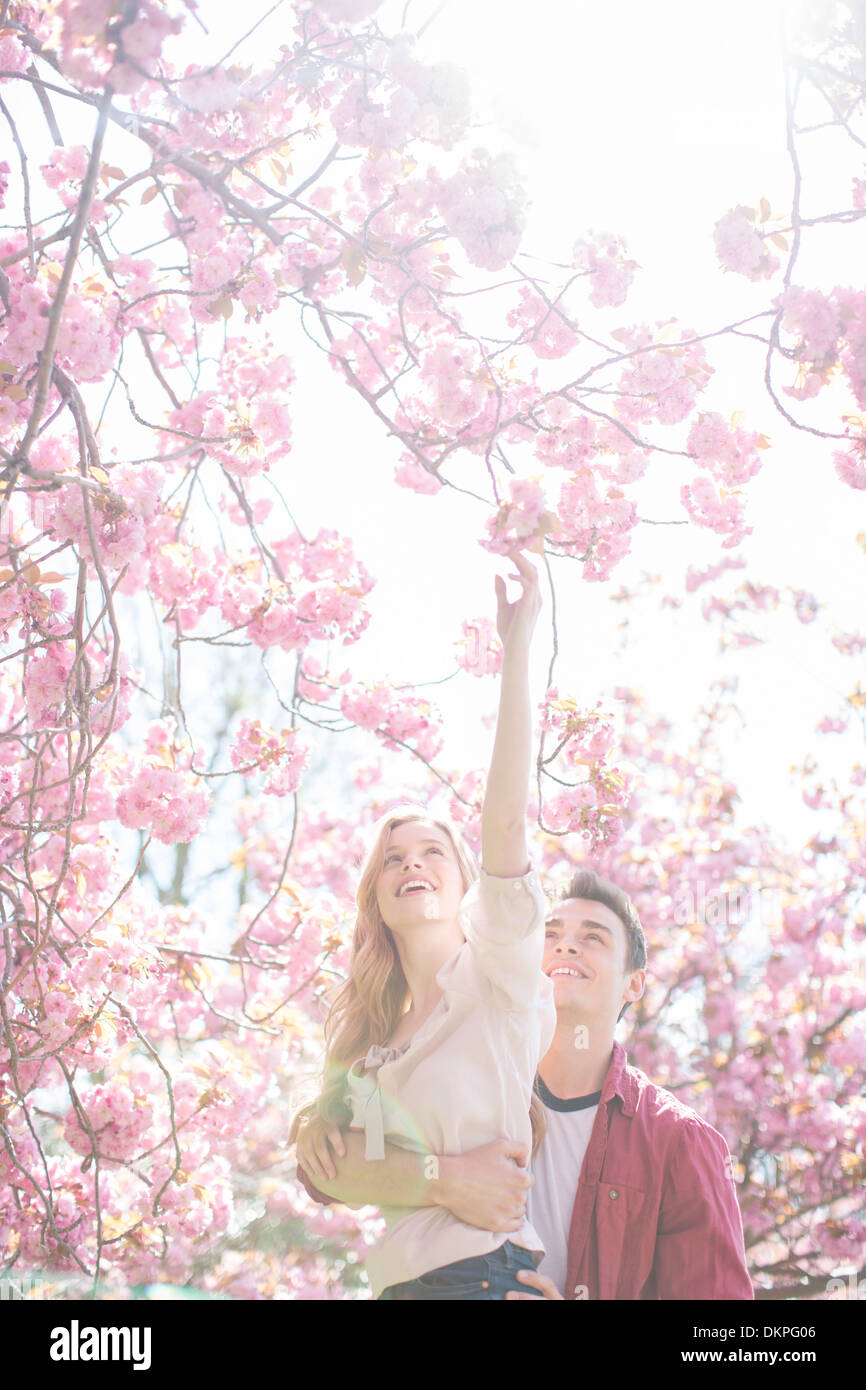 Uomo ragazza di sollevamento per raggiungere fiori rosa su albero Foto Stock