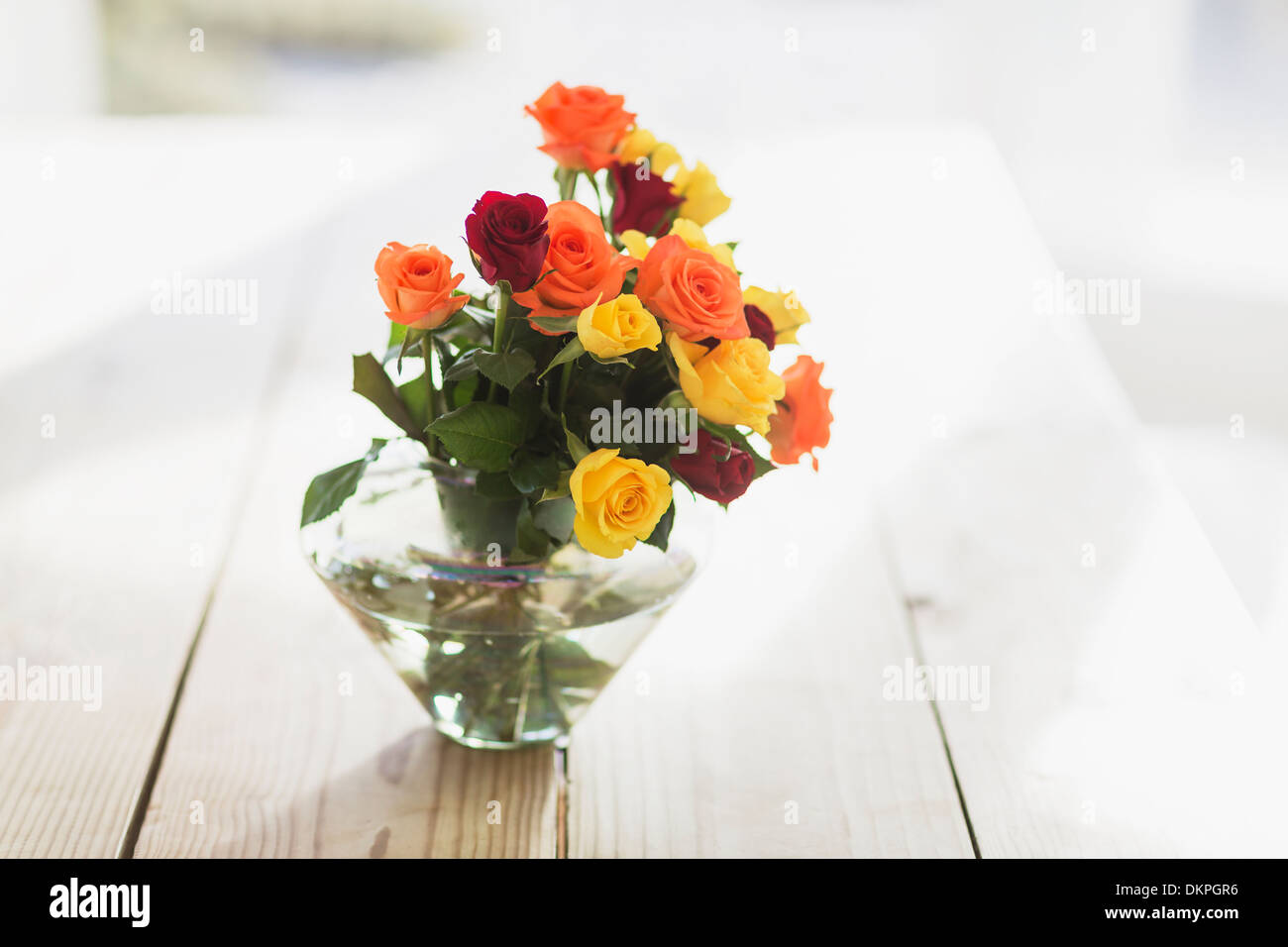 Close up di rose multicolori in vaso sul tavolo Foto Stock