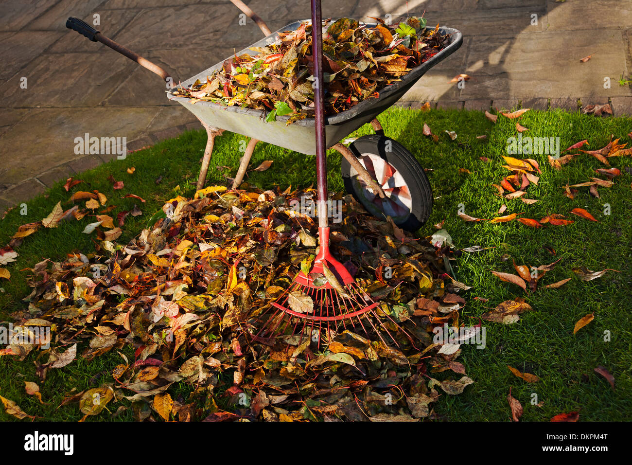 Primo piano di mucchio di foglie cadute carriola e rastrello in autunno Inghilterra Regno Unito GB Gran Bretagna Foto Stock