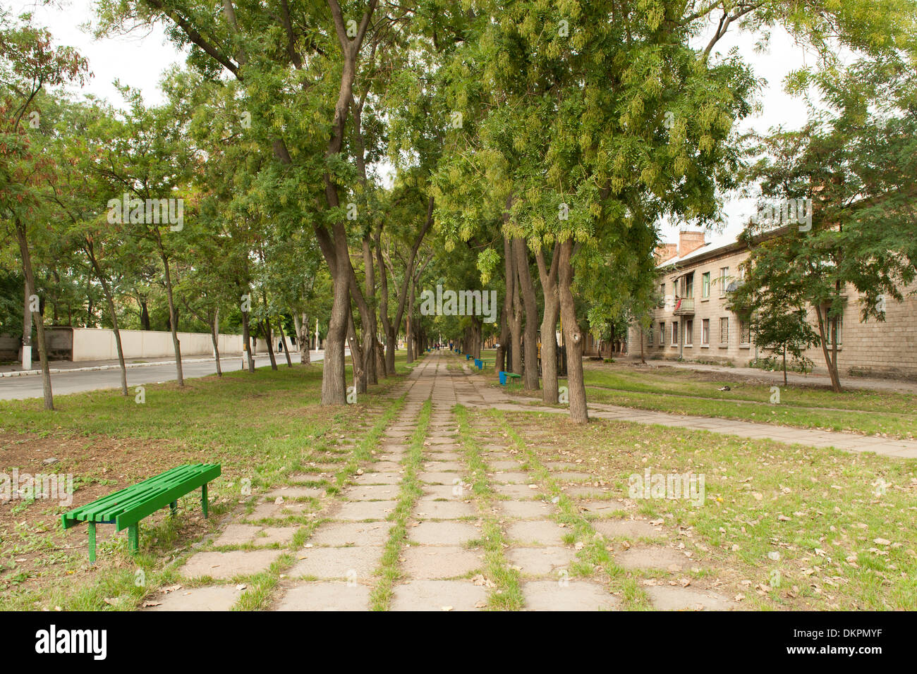 Strada alberata in Tiraspol, la capitale della Transnistria. Foto Stock