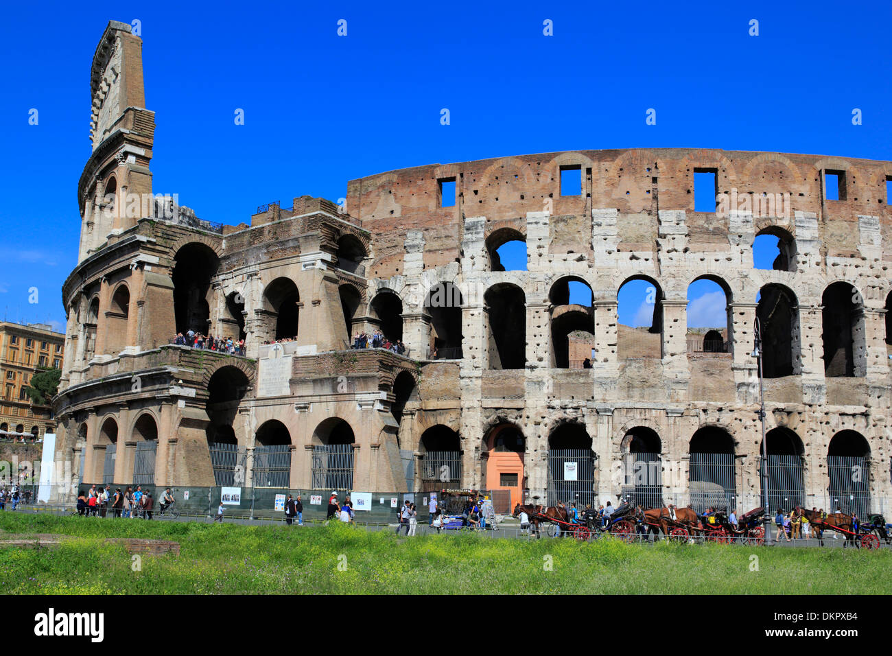 Colosseo, Roma, Italia Foto Stock
