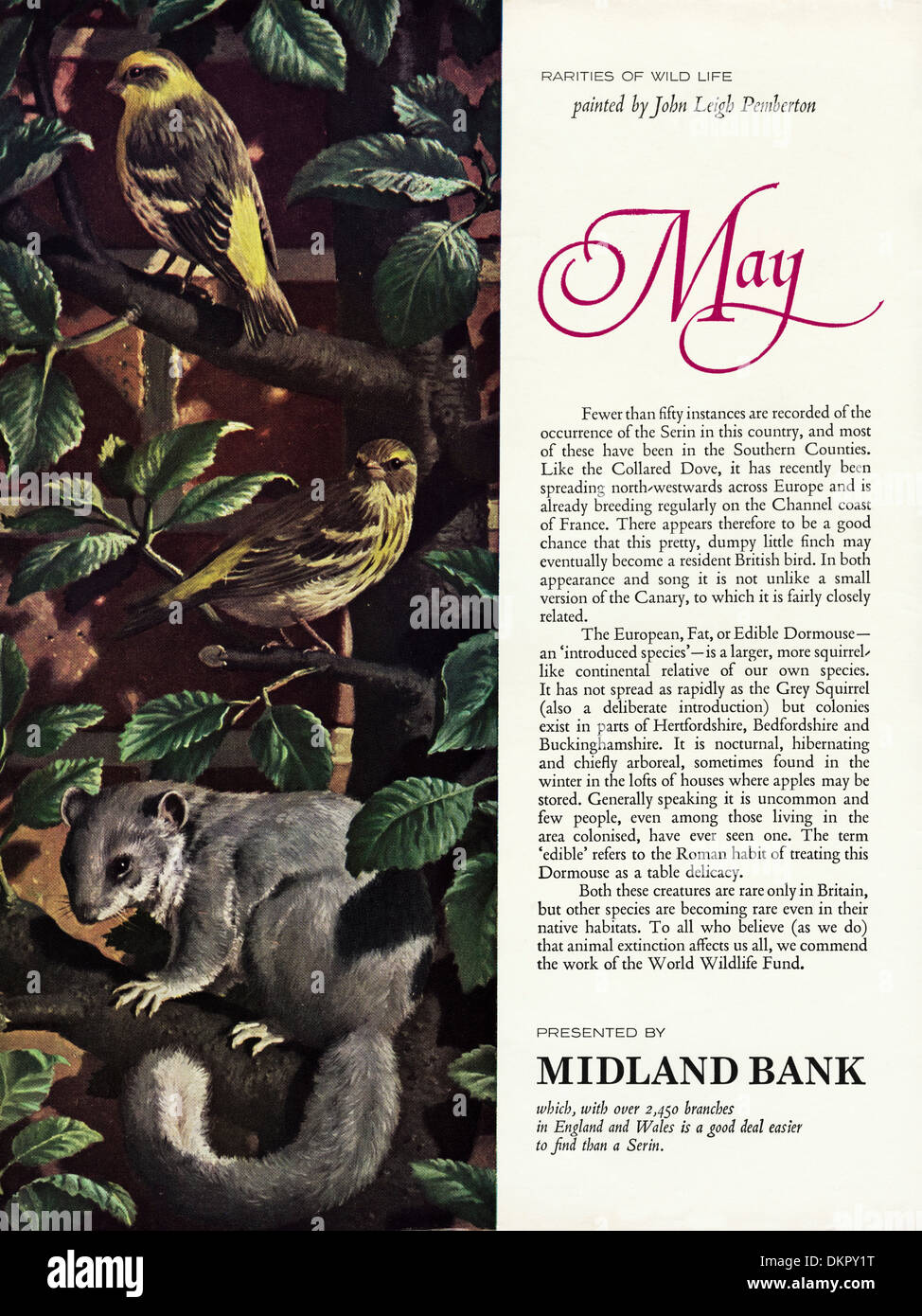 Negli anni sessanta la rivista vintage pubblicità pubblicità Midland Bank Foto Stock
