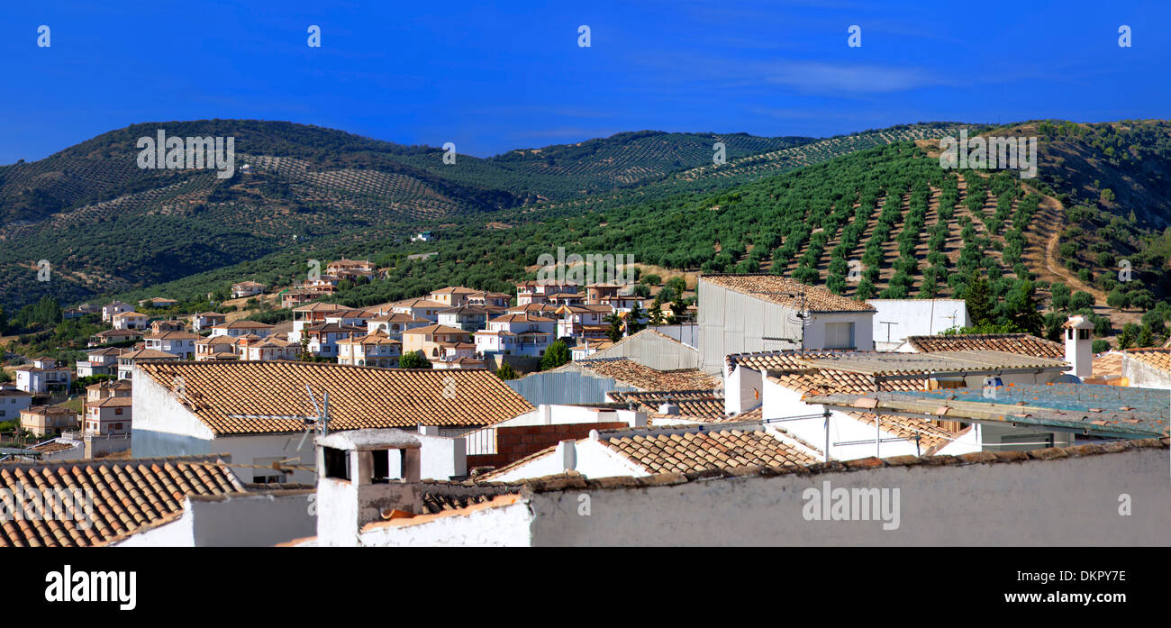 Pueblo bianco, Andalusia, Spagna Foto Stock