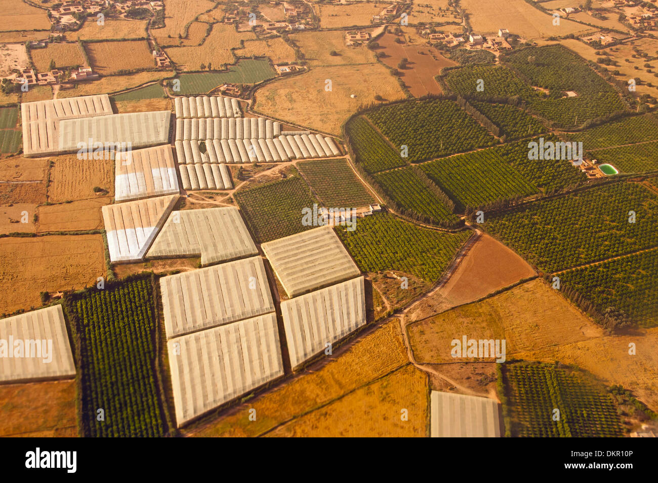 Campi agricoltura Africa Agadir campo campi vegetali agricoltura foto aerea antenna piantagioni di frutta area della regione di serre Foto Stock