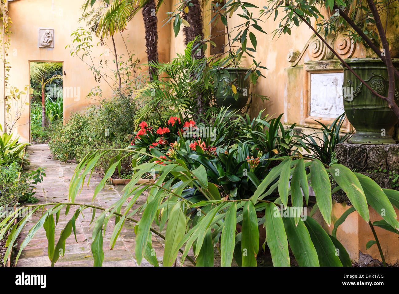 Francia, Menton, Serre de la Madone giardino, la vecchia serra senza tetto (utilizzare per premere e prenota solo) Foto Stock