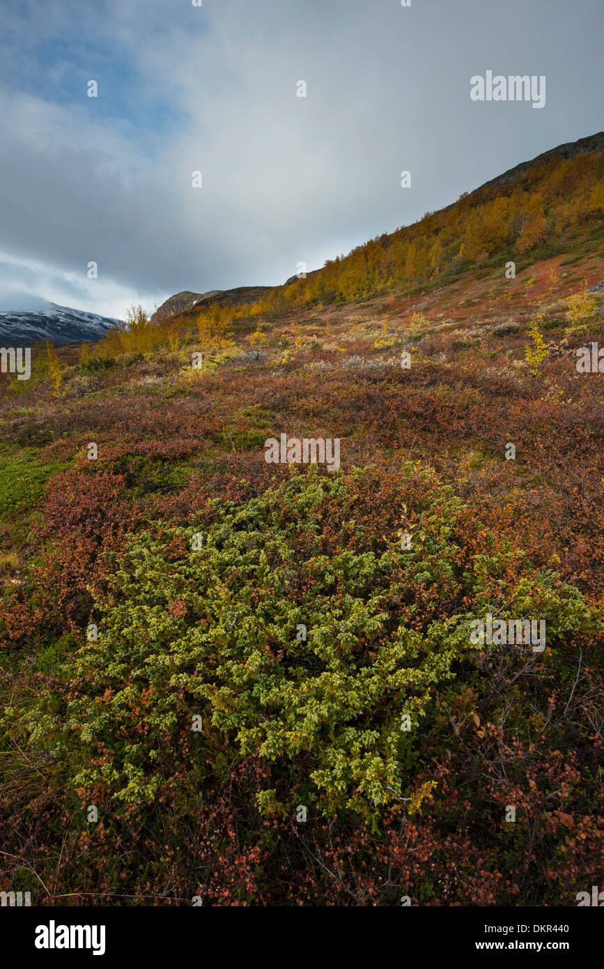 Europa Karsavagge Nord Europa Svezia Scandinavia Skanden Lapponia alpina paesaggio di montagna paesaggio di montagna Foto Stock