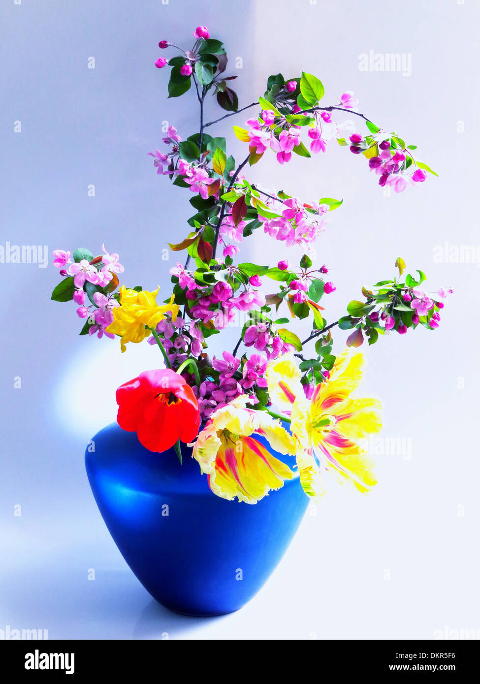 Fiori, piante, mazzetto, bouquet, fiorisce, fiorisce, vase, tulipani, misti Foto Stock