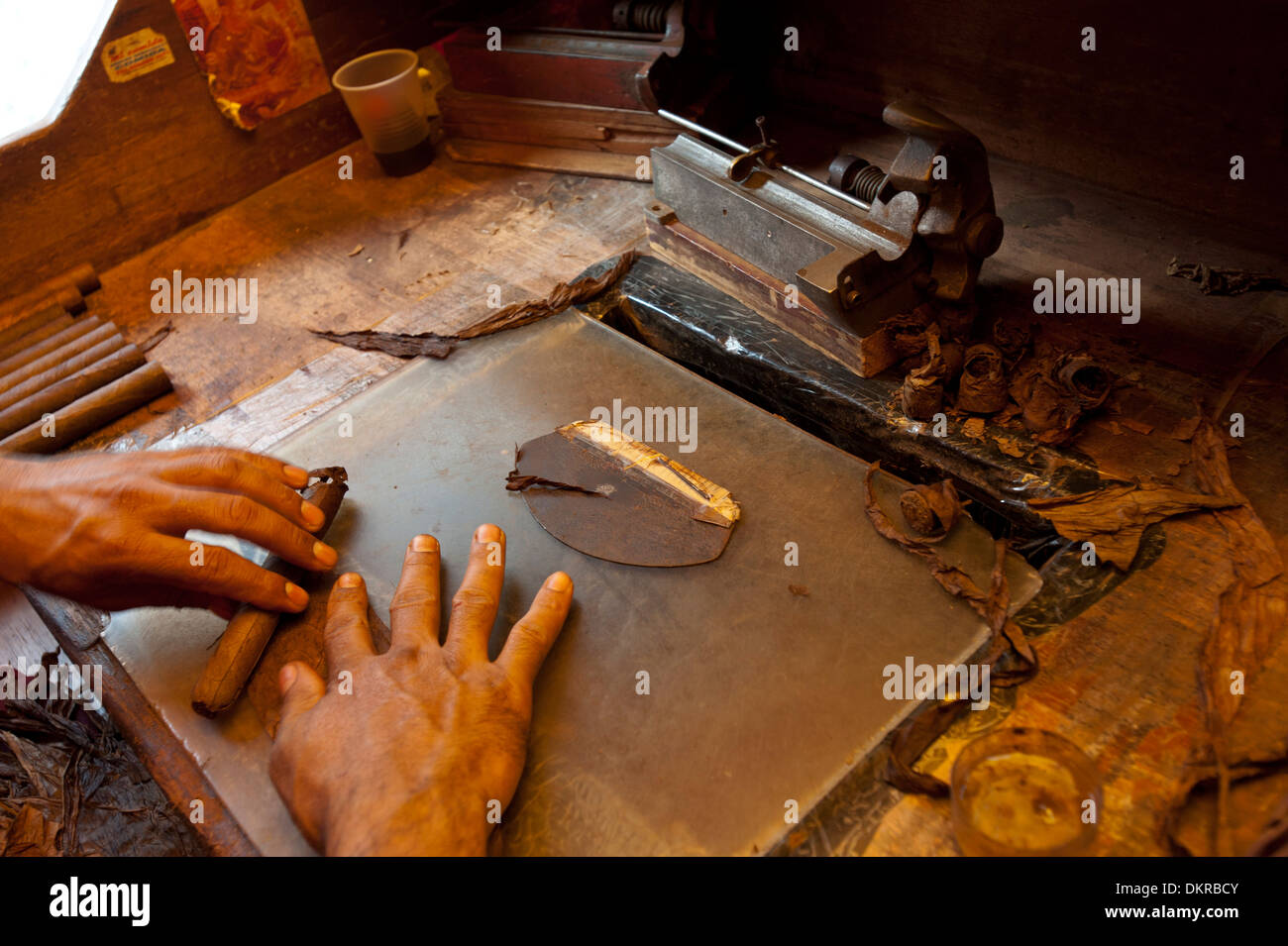 Repubblica Dominicana, produzione artigianale, sigari, un sigaro, Caraibi, Santo Domingo, tabacco, mani, rotolo Foto Stock