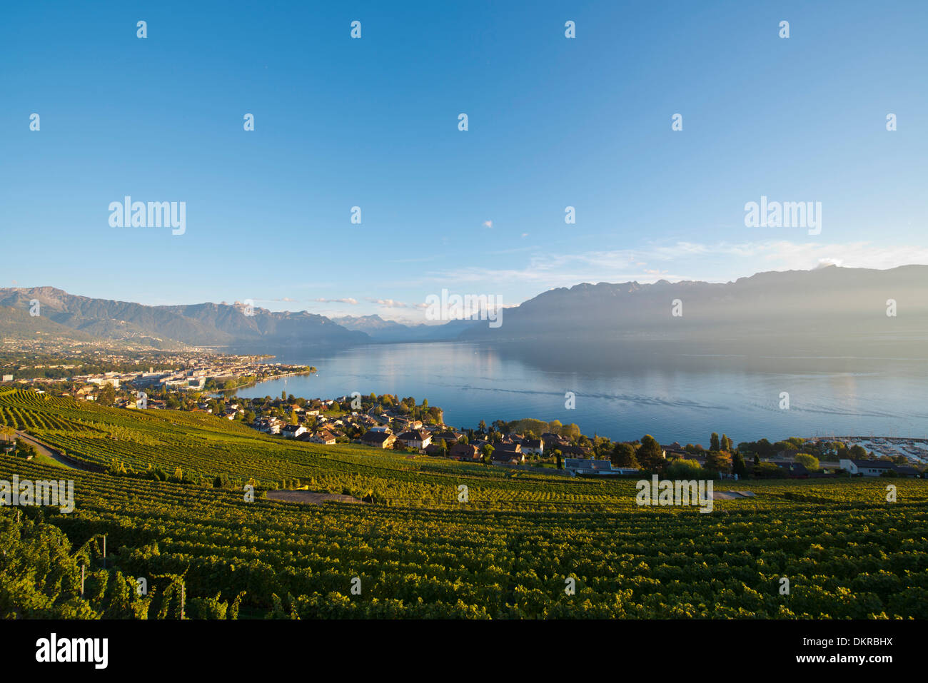 La Svizzera in Europa di città vigneti vigna mountain mountains nube paesaggio paesaggio autunno Vaud VD lago Lac Leman Lake Foto Stock