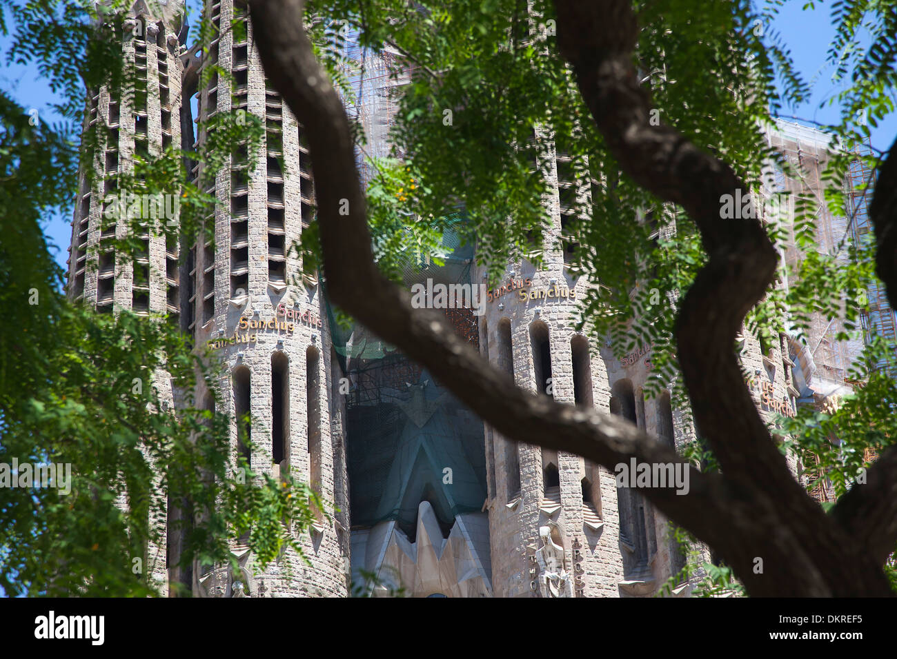 In Spagna, in Catalogna, Barcellona, esterno della Sagrada Familia, progettato da Antoni Gaudi. Foto Stock