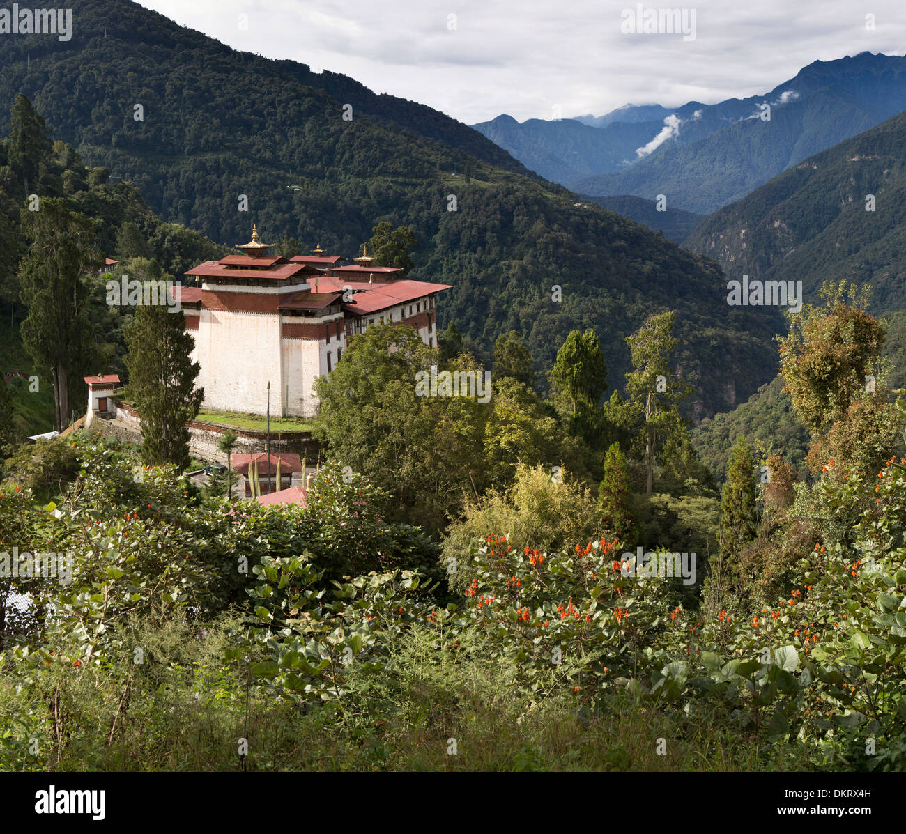 Il Bhutan, Trongsa Dzong, affacciato sul fiume Mangde Valley Foto Stock