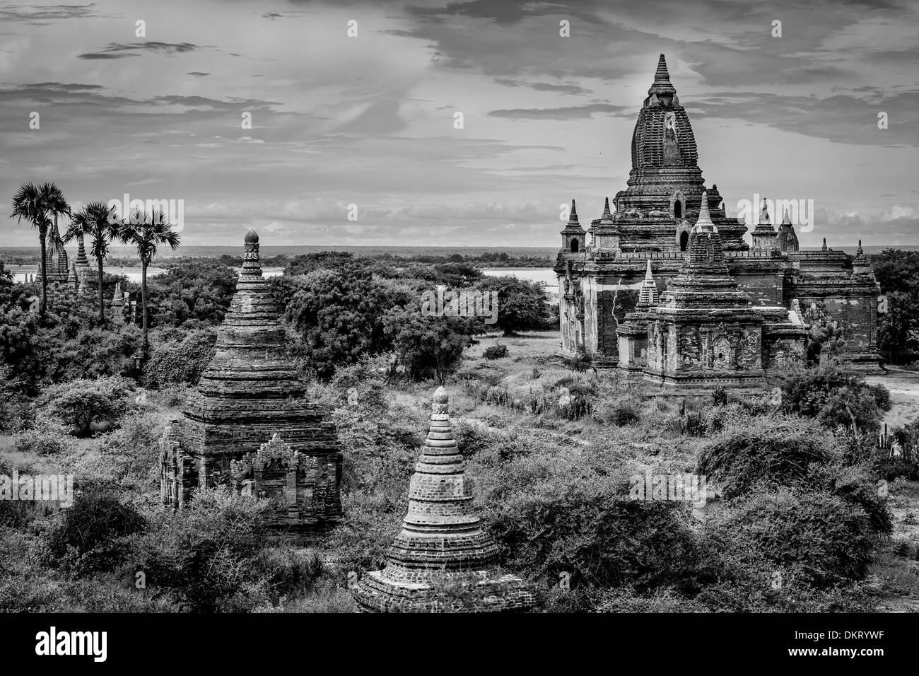 Vista dei templi, Bagan, Myanmar Foto Stock