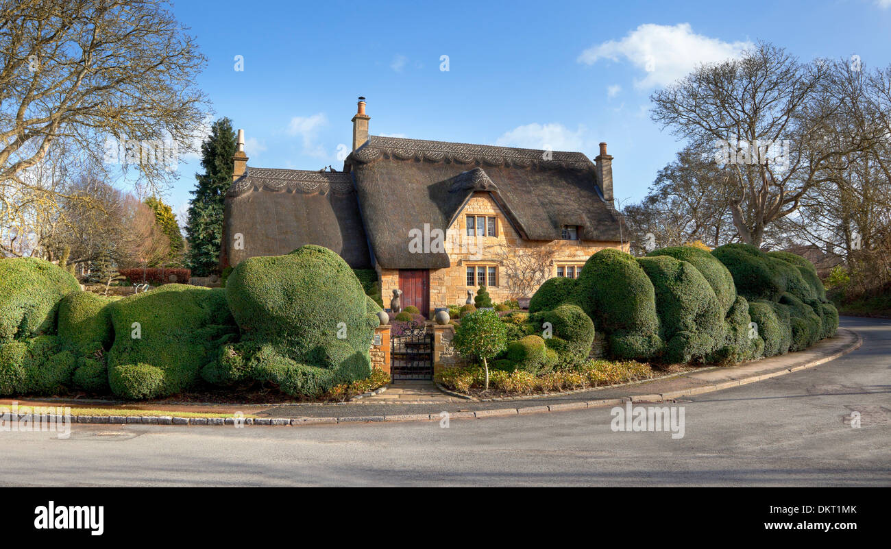 Con tetto di paglia di graziosi cottage inglese con scatola di topiaria da operazioni di copertura, Gloucestershire, Inghilterra. Foto Stock