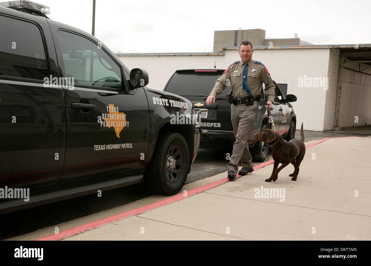 Texas Department of Public Safety Officer con il cane che ha recentemente completato il canino programma di formazione Foto Stock