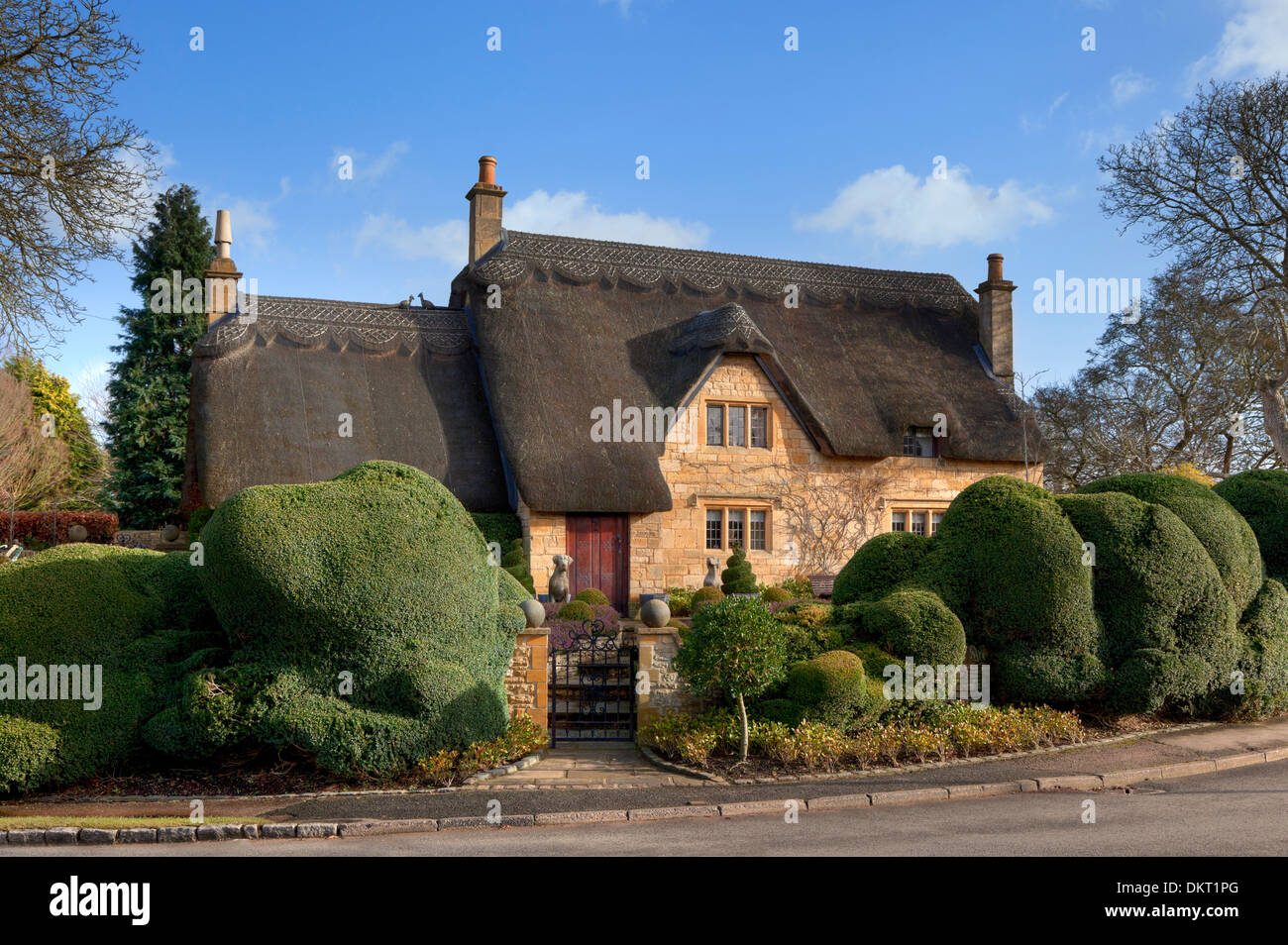 Con tetto di paglia di graziosi cottage inglese con scatola di topiaria da operazioni di copertura, Gloucestershire, Inghilterra. Foto Stock
