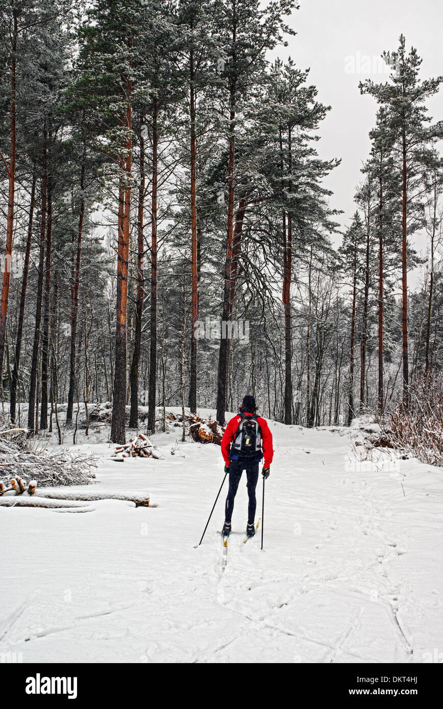 Inverno Sci orienteering concorrenza.Il giudice di concorsi va a controllare il percorso delle gare. Foto Stock