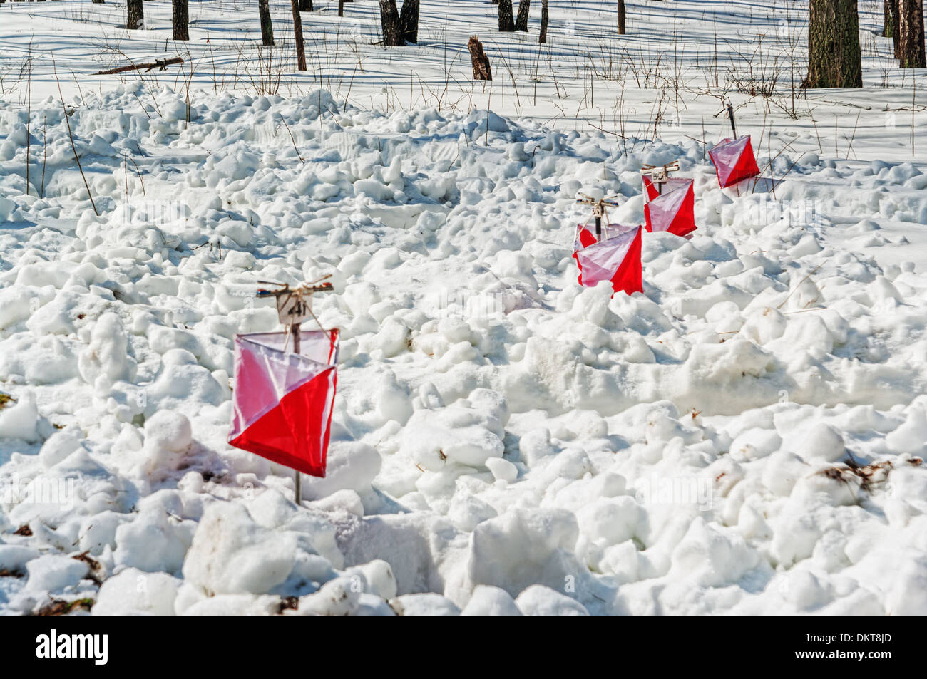 In inverno la concorrenza di orienteering - labirinto di neve - rosso prismi come punti di controllo. Foto Stock