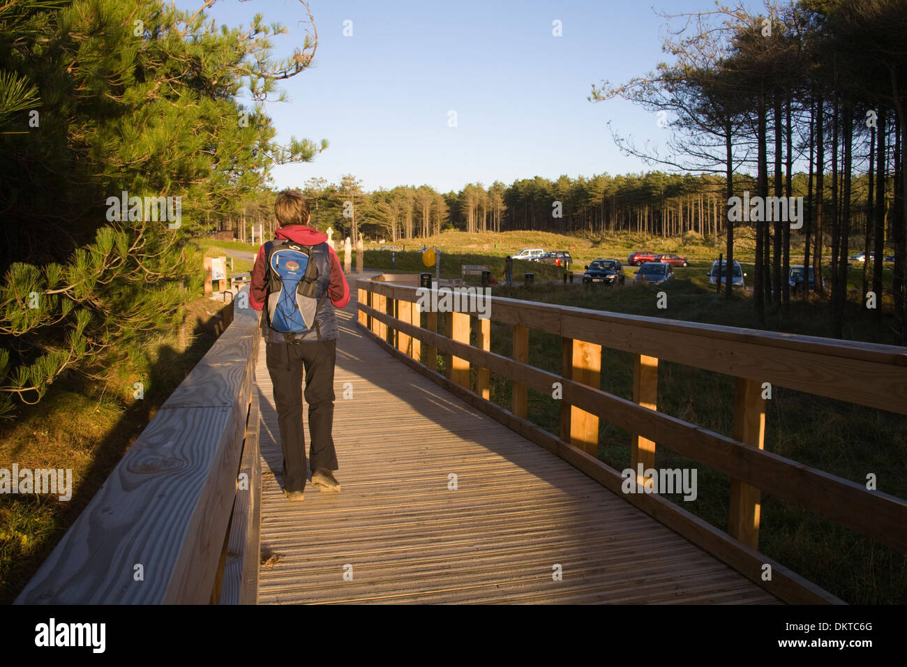 Foresta Newborough Anglesey North Wales UK femmina camminando lungo la nuova passerella verso il rinnovato parcheggio auto per gli escursionisti ciclisti Foto Stock