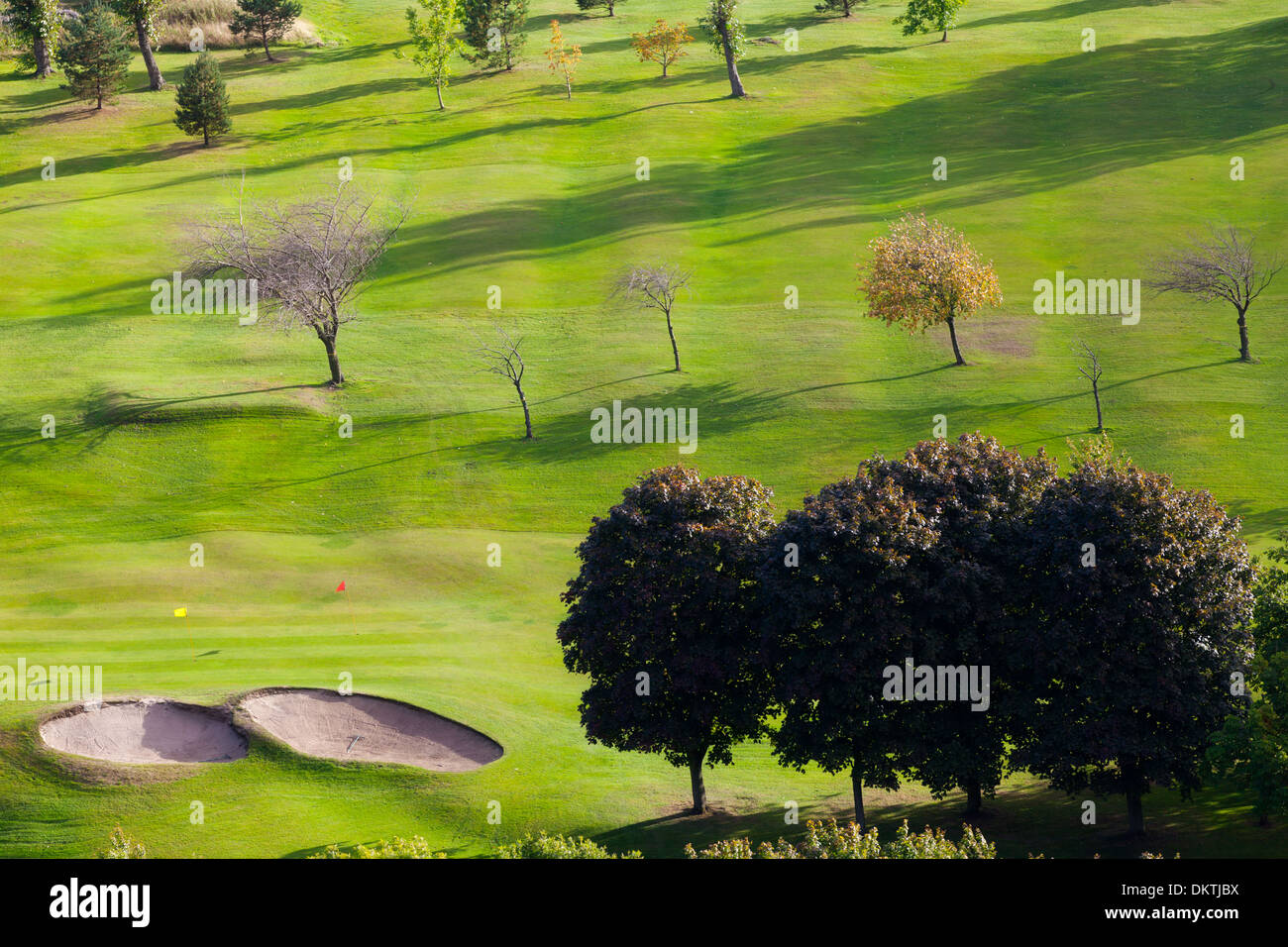 Campo da golf dettaglio Foto Stock