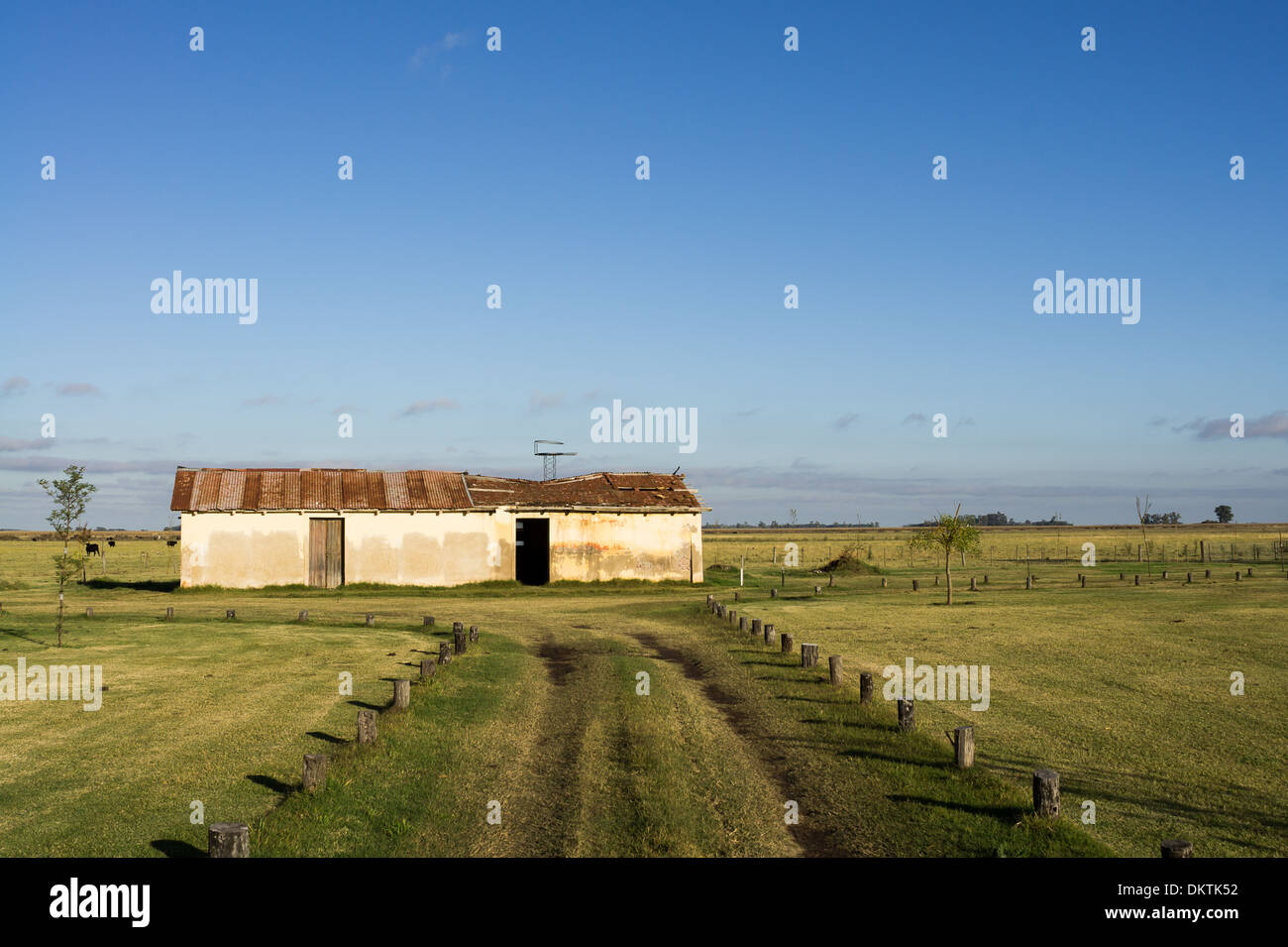 Fienile abbandonati in mezzo ai campi, lato paese in provincia di Buenos Aires Foto Stock